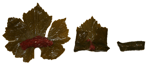 rolled grape leave